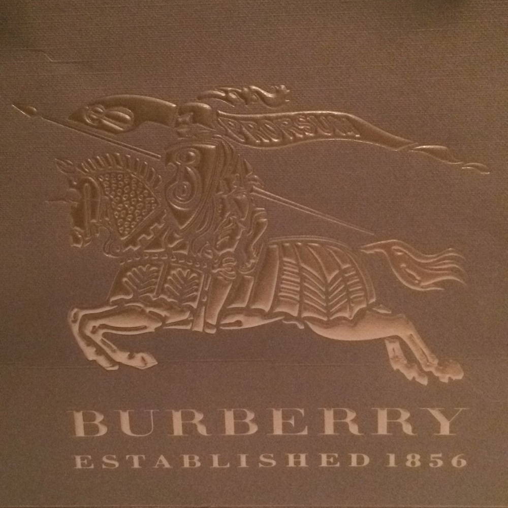 Burberry Bag w Ribbon